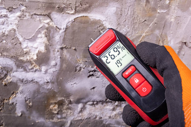 Best Mold Removal Near Me  in Cayuga Heights, NY
