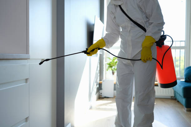 Professional Mold Removal in Cayuga Heights, NY