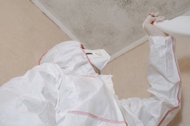 Best Mold Remediation Services  in Cayuga Heights, NY