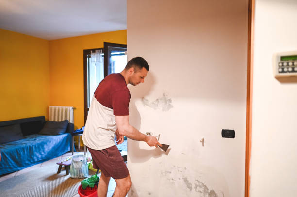 Best Mold Removal Company Near Me  in Cayuga Heights, NY